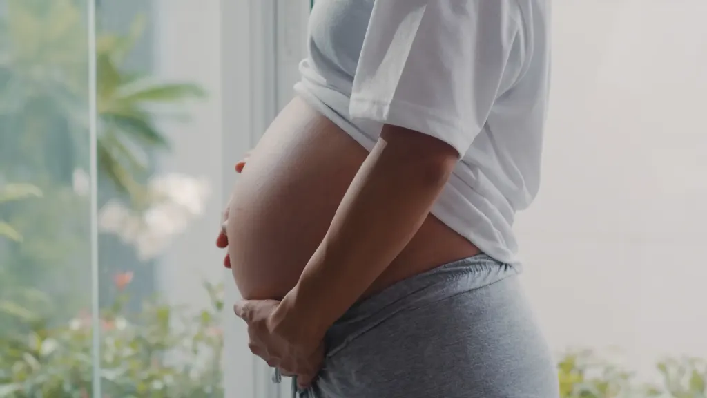 Mulher gestante está em frente a uma janela segurando a barriga. A imagem ilustra a matéria que questiona a gravidez fora do período fértil.