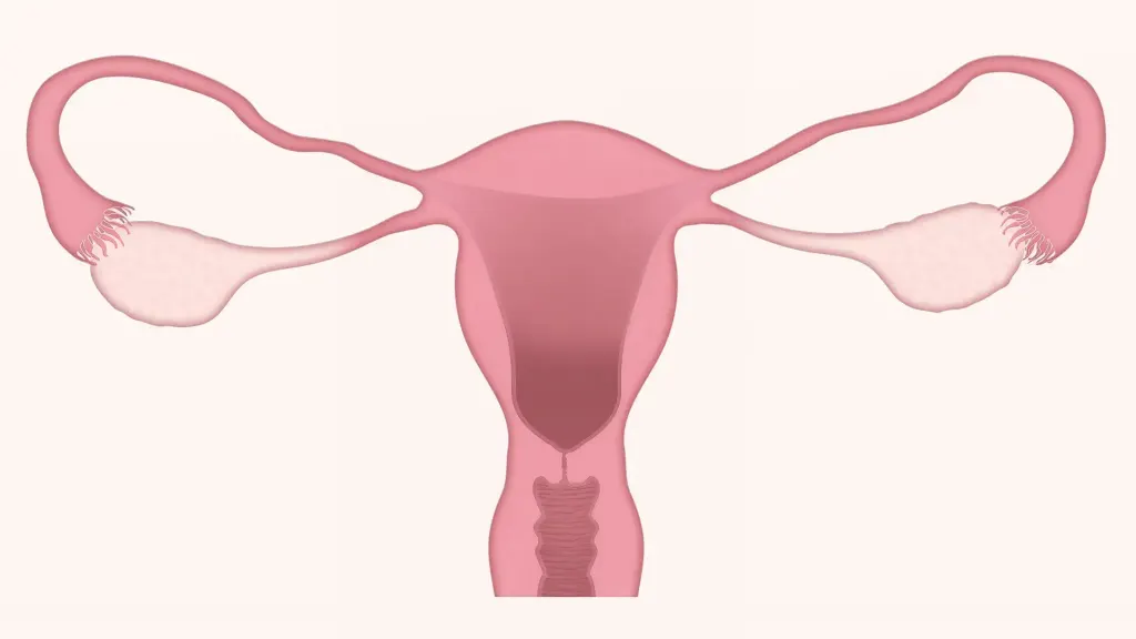 Ovários policísticos. Mulher coloca as mãos na barriga como se estivesse sentindo dor.
